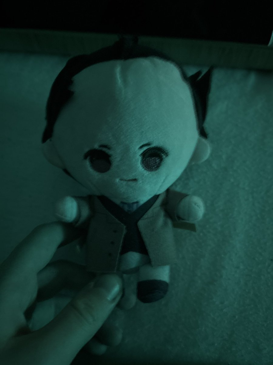 Mikamisuy's tweet photo. me and husband got the matching plushies proof that we are way to damn epic https://t.co/9bRrq7gUlN