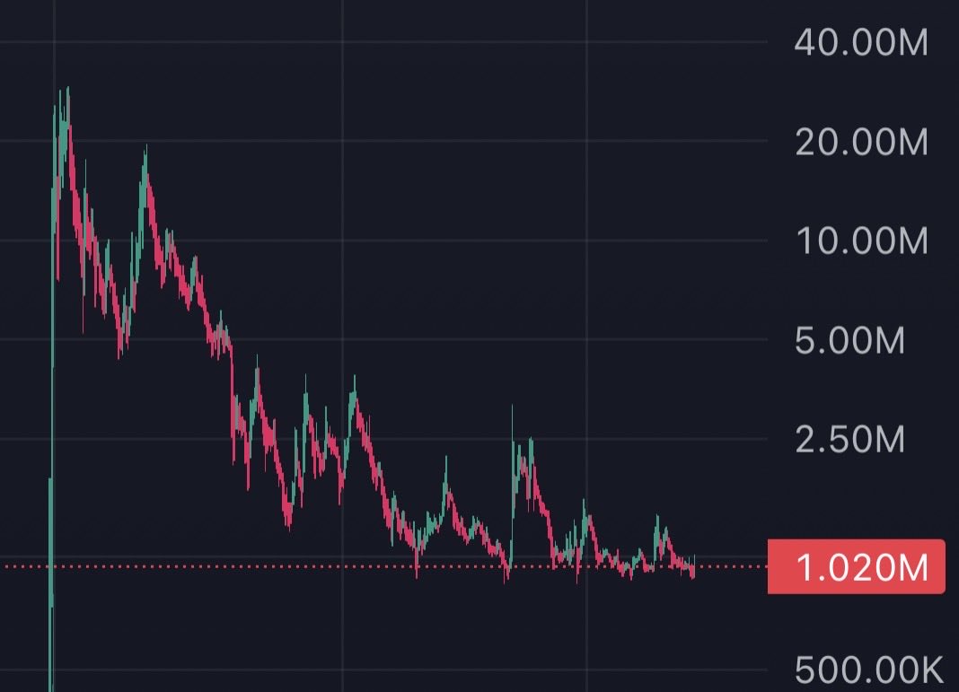 didnwakeupp's tweet photo. Drawdown survival is the closest thing meme coins have to fundamentals

normal investors look for revenue.

meme coin traders should look for survival. https://t.co/HV6X7SpEFi