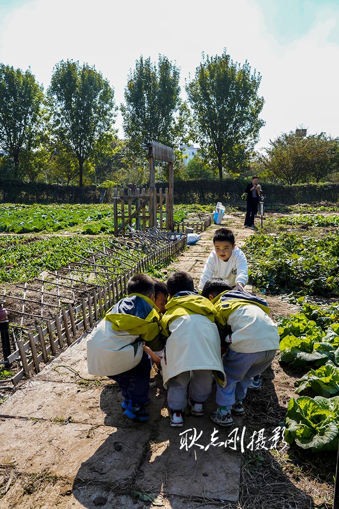 alsl15010's tweet photo. Come join our community garden harvest day this Sat 10am at Central Park! Fresh veggies, fun games u0026 neighbors—all welcome! https://t.co/PmAuk8LAlw