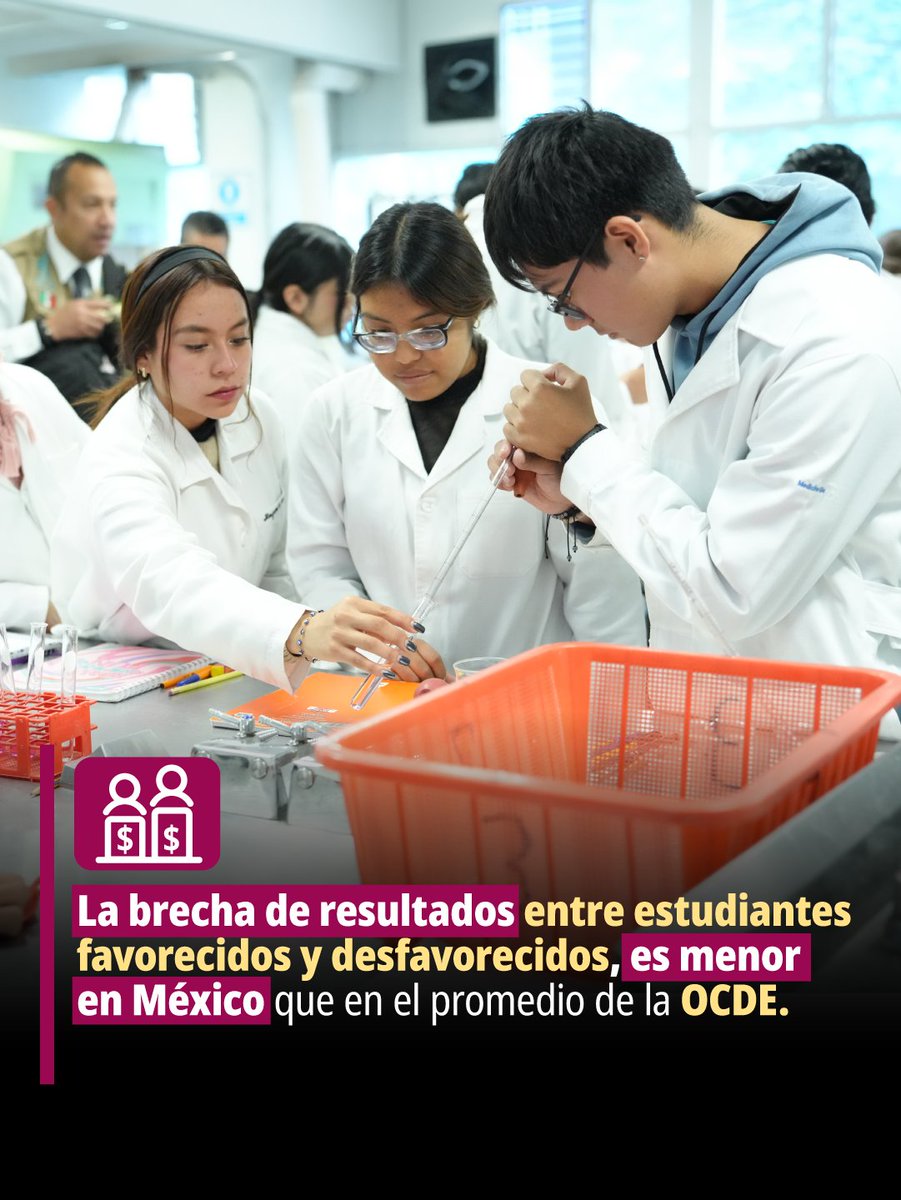 SEP_mx tweet picture