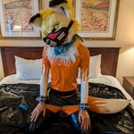 Photo by Totally Innocent Fennec (@InnocentFennec)