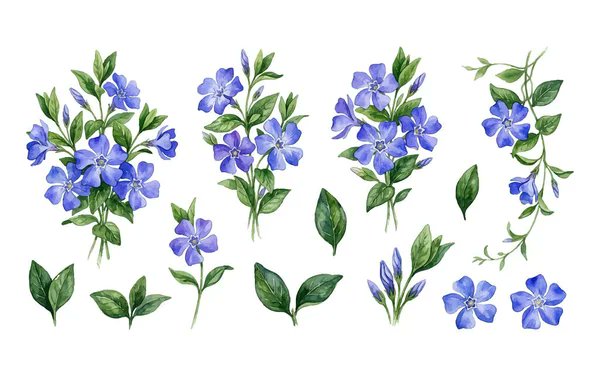 Tohira170341's tweet photo. Watercolor Blue Periwinkle Flowers Vector Set >> https://t.co/fo8f6QkXTa
#VectorArt #WatercolorFlowers #Periwinkle #FloralDesign #BlueFlowers #ArtSet #DigitalArt #Illustration #FlowerVector #CreativeArt https://t.co/1SIMSzLQkF