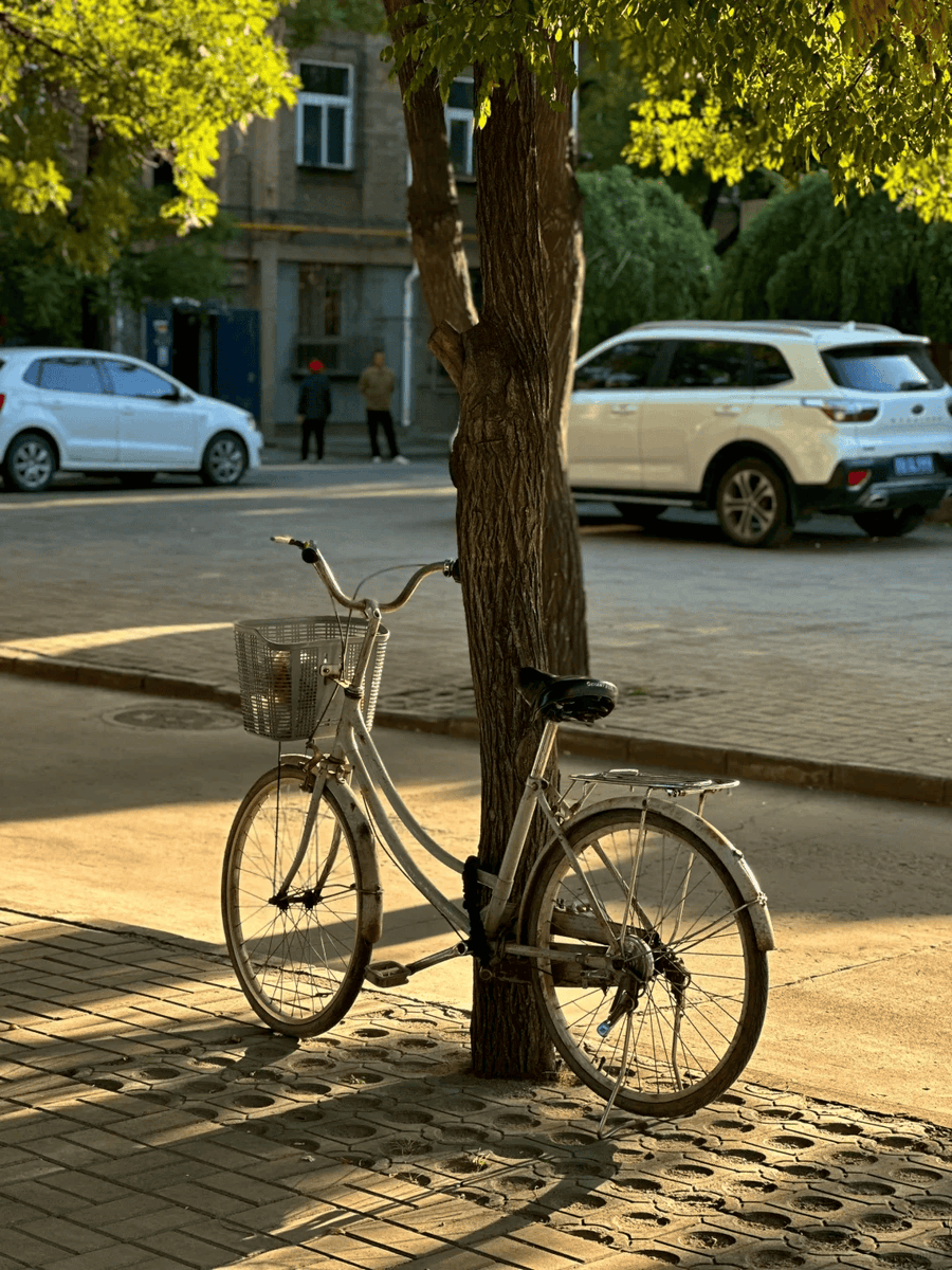 lhastar79's tweet photo. Caught this golden-hour street moment yesterday—old bike propped against a cherry blossom tree, locals chatting over iced coffee. Pure small-town charm. https://t.co/q1FzWmT3ja