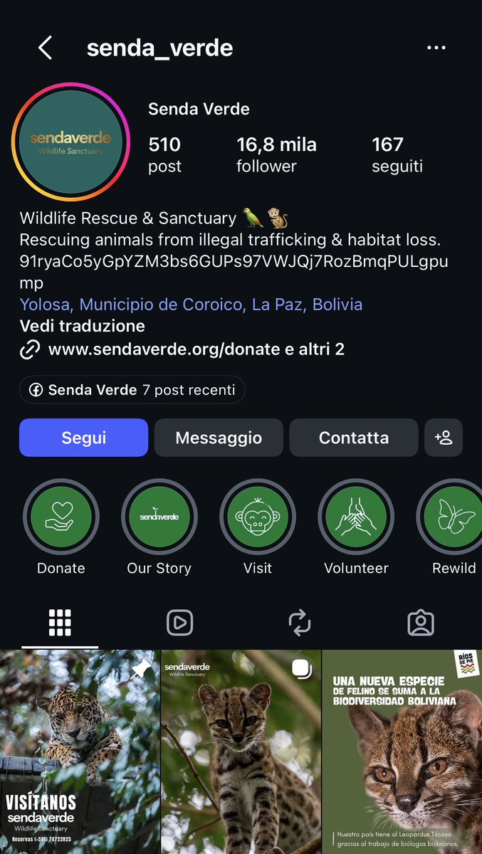 Source media 1 from @cryptorilsio