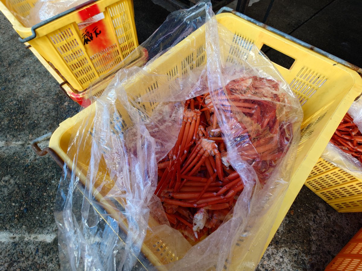 shinyas1485's tweet photo. 今日は香住ガニまつりだったのか〜。美味しそうなカニ🦀がいっぱいですね～😁
スゴい人がカニを目当てに並んでいます。
買おうかな…。 https://t.co/iJdIiQ0pZj