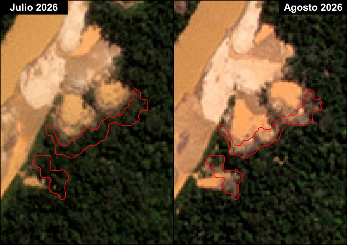 Ecocentristas's tweet photo. 🛰️¡Alerta por actividad minera en Huánuco y Amazonas!

Numerosas infraestructuras mineras en los ríos Cenepa y Marañón, en la región Amazonas; y en el río Pachitea, en la región Huánuco. En total, se han registrado 22 y 17 dragas mineras a lo largo de los ríos Cenepa y Marañón. https://t.co/5412sguf4d