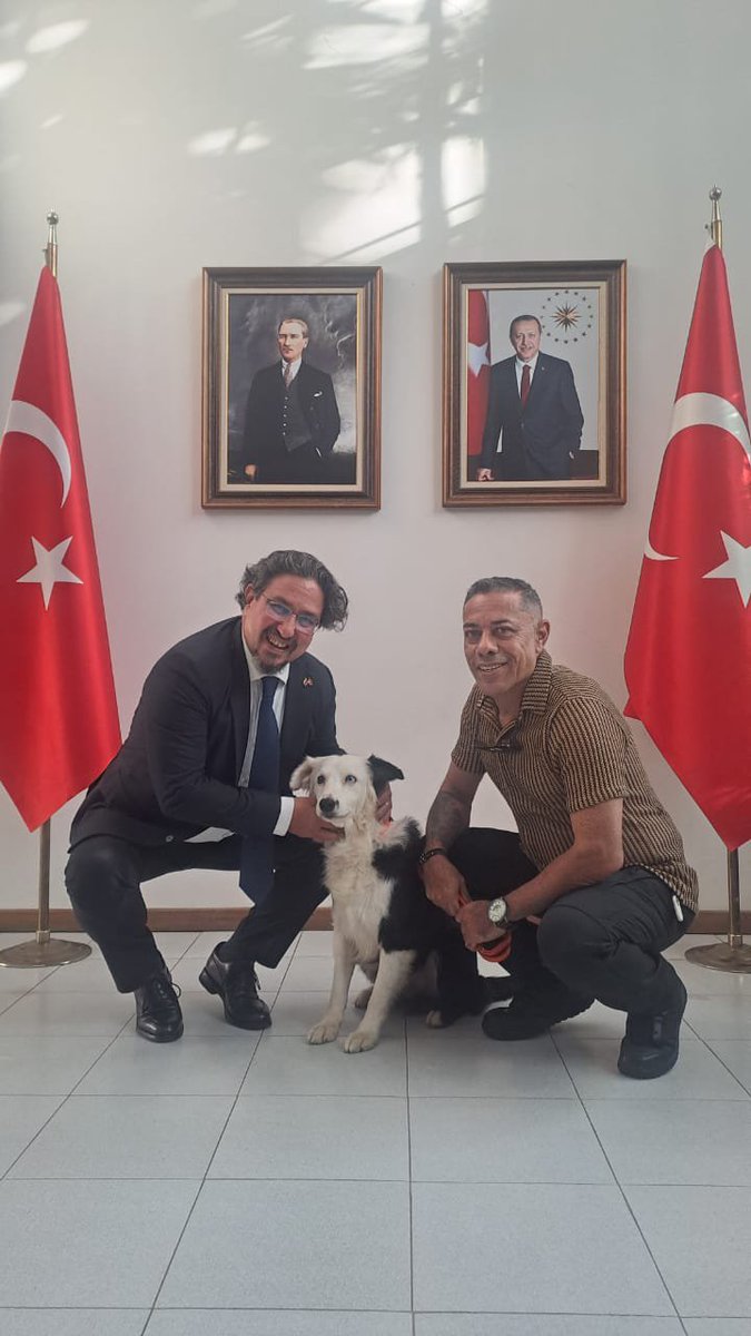 TC_KarakasBE's tweet photo. Bugün Büyükelçiliğimizde, 6 Şubat 2023 "yüzyılın felaketi" depremlerinde ülkemize giderek arama kurtarma çalışmalarına katılan, 24 Haziran'da Venezuela'da meydana gelen çifte depremde büyük özveriyle çalışan ve daha birçok ülkede arama kurtarma çalışmalarındaki başarısıyla öne çıkan, Maracaibo şehrinde bu nedenle heykeli dikilen bir Venezuela kahramanı olan Tsunami'yi ağırladık.

Bundan sonraki arama kurtarma çalışmalarında daha da etkili olmasını diliyor, Tsunami ve yetiştiricisine teşekkür ediyoruz. 🇹🇷🇻🇪🧿