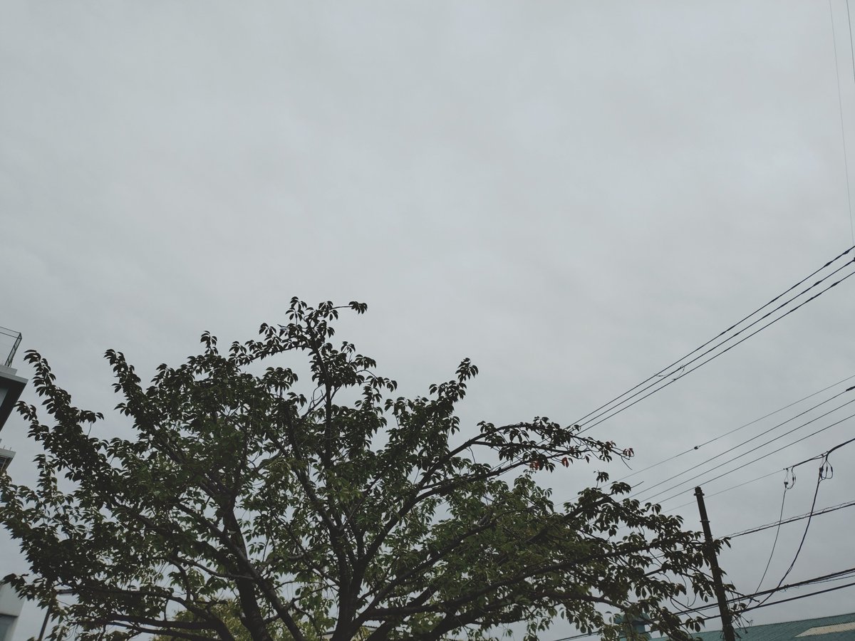 Voiceof_MrBoo's tweet photo. おはよ〜ございます

こちらは先ほどパラっと雨が降りましたが🌧️今はやみました🔚ただ、今日は雨が降りやすいスッキリしない天気になりそうです🌂夜からは台風🌪️の影響で雨風が強まる恐れがあるのでご注意を⚠️日中の気温🌡は昨日より２℃ほど下がって２４℃前後ですが、湿気のせいでムシムシするかも🥵 https://t.co/di1Jmp4Ppp