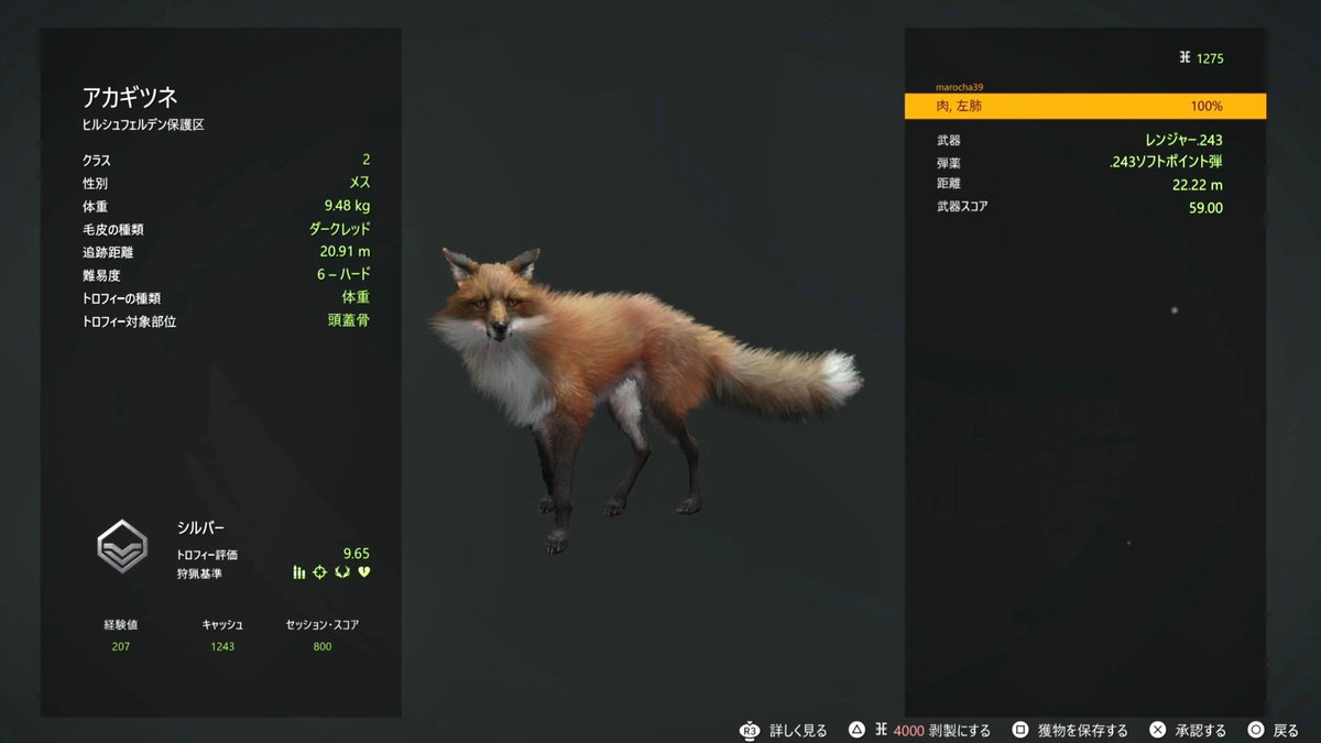 marocha3939's tweet photo. #theHunter がやっとインストールできたので、１からスタート🦌キャラは１つも可愛くないのでどれでもいい。

１周目はチュートリアルもストーリーもわからず彷徨いてたので今度は意識しながら進めてこ💨ついでにきつねちゃんゲット🦊 https://t.co/FIK6B3F7q0
