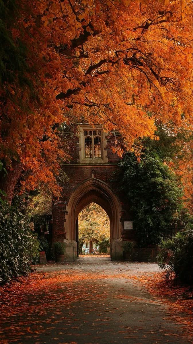 flower6260's tweet photo. autumn view https://t.co/Rbeg1Q7AhR