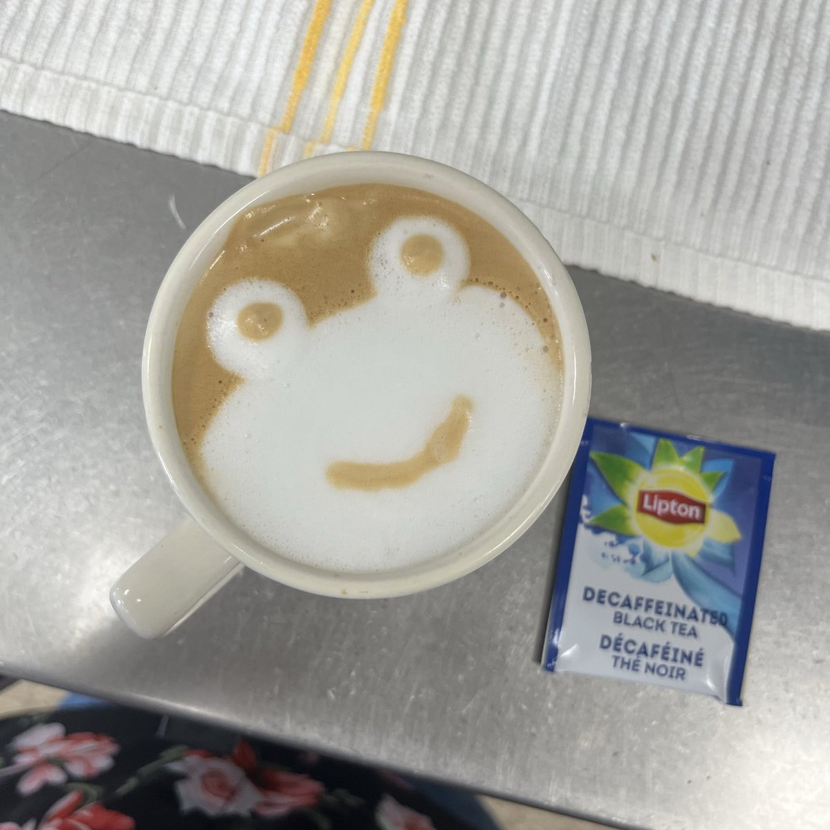 barkforbug's tweet photo. been practicing my latte art :) https://t.co/x1EpKARNxi