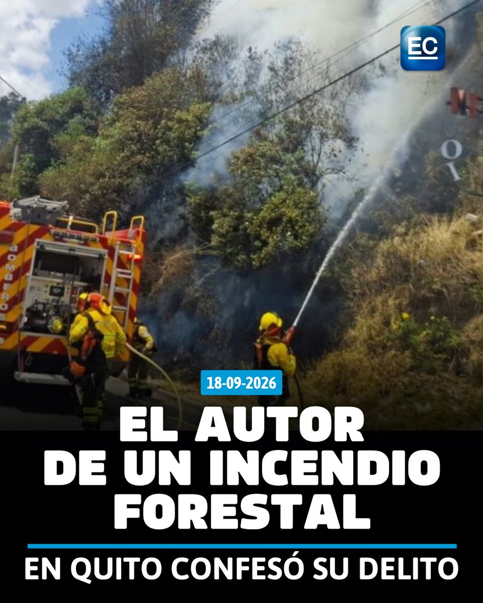 elcomerciocom's tweet photo. 👉 https://t.co/RcLqX6itqT || El hombre irá seis meses a prisión tras confesar que regó líquido inflamable y prendió fuego a la vegetación en la Simón Bolívar. 👇👇👇 https://t.co/LFaiaMA8Us