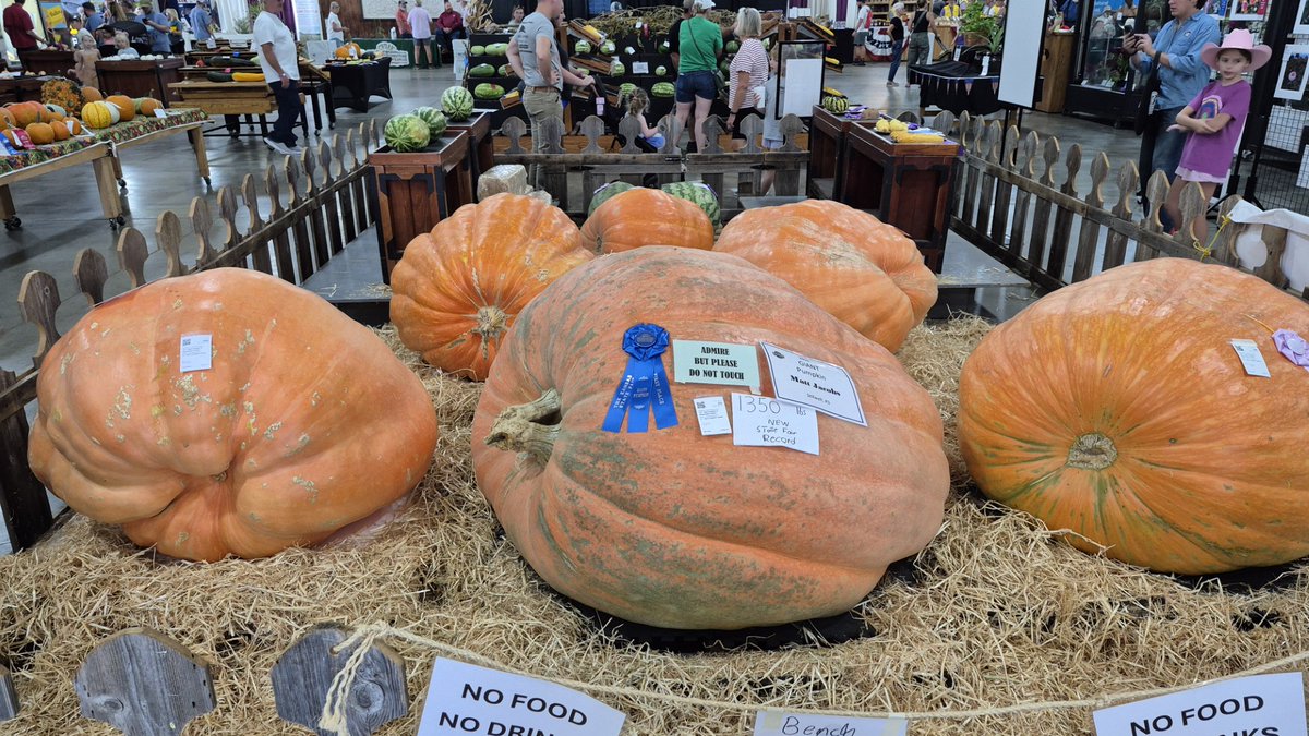 KWCH12's tweet photo. From prize-winning pumpkins to butter sculptures, you still have a couple of days to take in everything #KSProud at the #ksstatefair #kwch12 https://t.co/tl9EnxQoXn https://t.co/C9DJZDhYNV