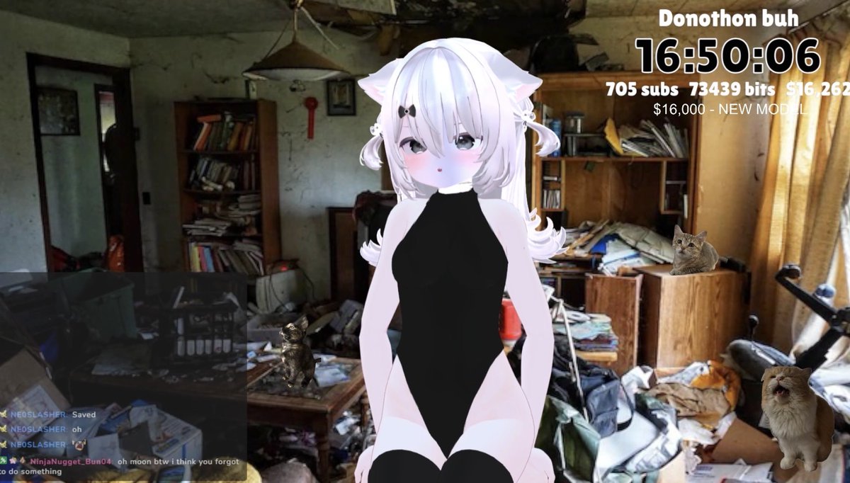 moonbuntwitch's tweet photo. so happy to finally share my irl room with my chat 🤍 https://t.co/DvSsgRIz6a
