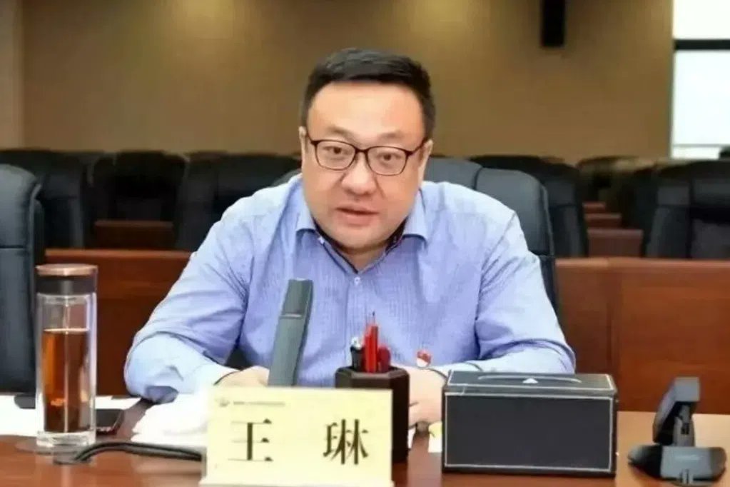 中共乌鲁木齐市委书记王琳任新疆维吾尔自治区党委副书记