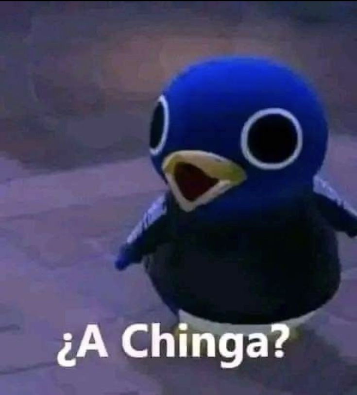 Danny_Whinter's tweet photo. 🚨¡𝐈𝐍𝐈𝐂𝐈𝐀𝐍𝐃𝐎 𝐒𝐓𝐑𝐄𝐀𝐌!🚨

El día de hoy estaremos jugando con el chat, hoy es el día donde tu decides que haré, así que ven a que pasemos una buena noche juntos.

⚠No te lo pierdas siempre en: https://t.co/ybjgBIiDTo https://t.co/Xlm02ddkMJ