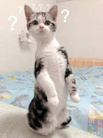 jyhonma70's tweet photo. Just caught my intern trying to use the office printer to print his cat’s exam grade. Said it was "more urgent" than my Q3 report. https://t.co/QZVlsEeHzT