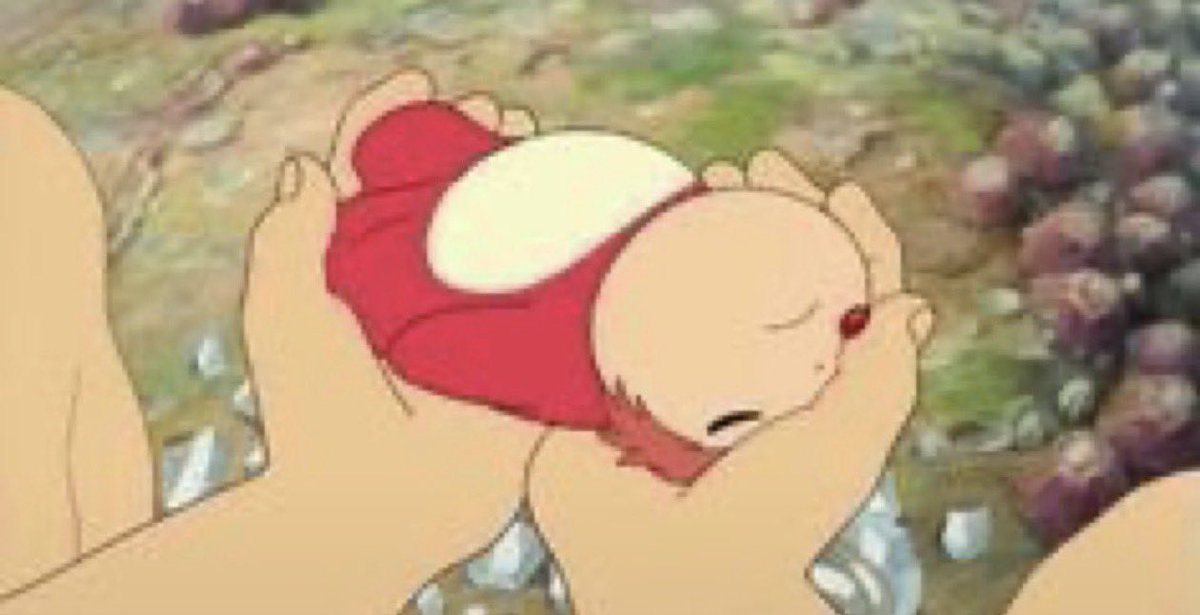 _ssammi_'s tweet photo. me after a good blunt and a cold modelo https://t.co/u0M7ENlMu5