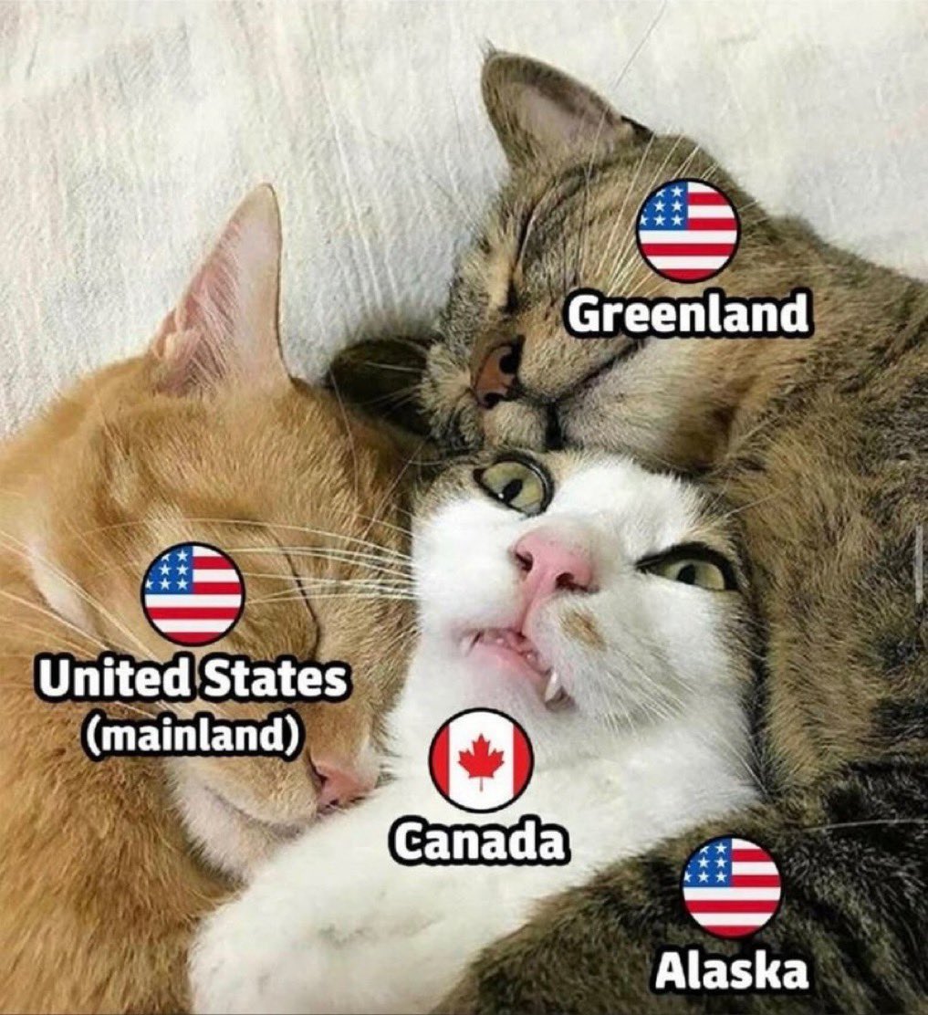 MBrant75's tweet photo. 😼 https://t.co/dAzymuQNVv