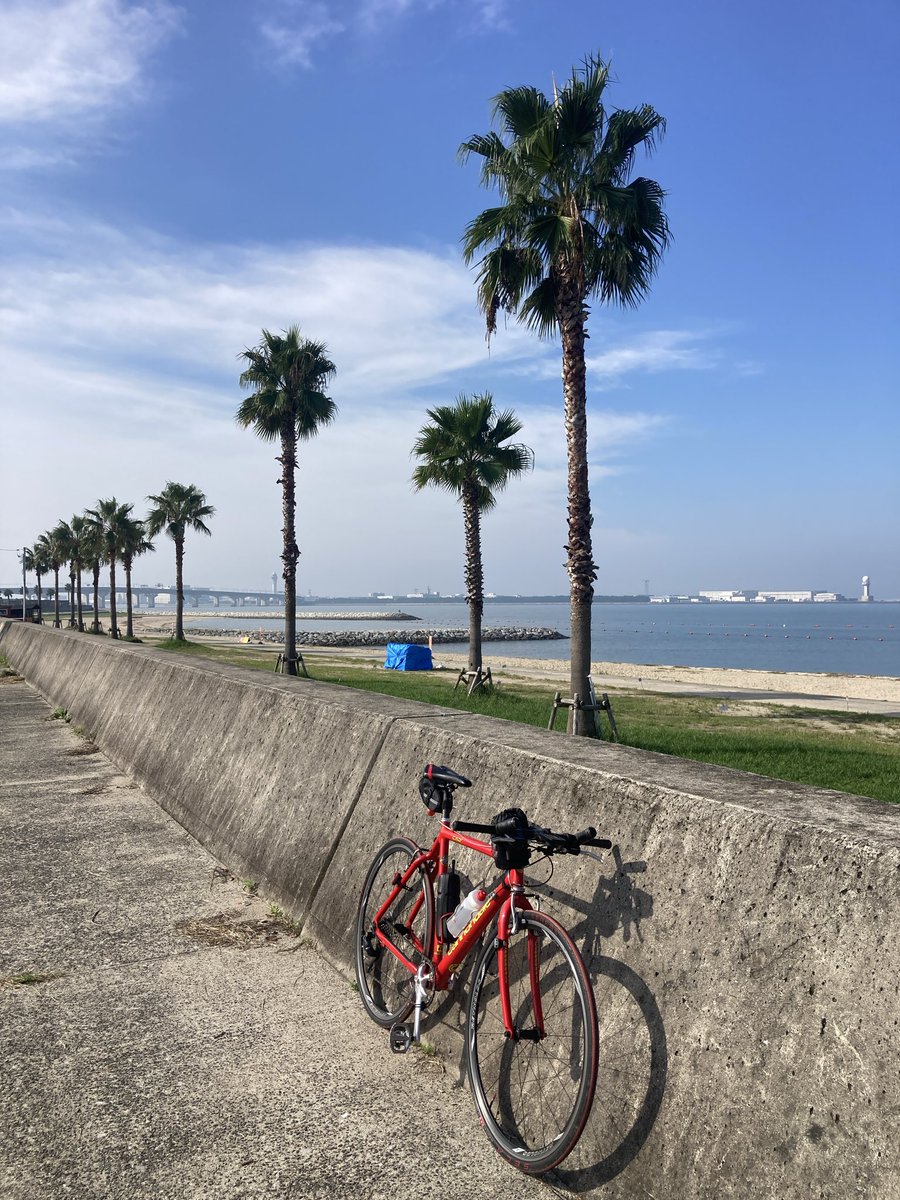 ron2_tweet's tweet photo. りんくうビーチも久しぶりだな。
体力無さすぎ、疲れた😓
#cannondale #cad3cyclocross #wcyy https://t.co/3xlsnTbMoc