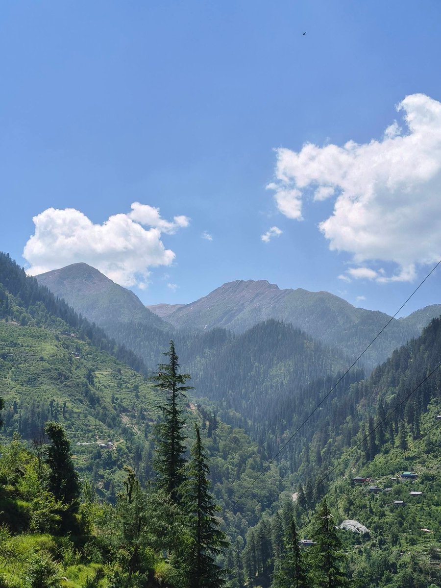 Surender_10K's tweet photo. Nothing beats the quiet of a mountain morning. Wishing you all a peaceful day ahead. ✨🌲🏔️🍃
#GoodMorning #Peacefulday #Mountain https://t.co/sTQiggcfcW