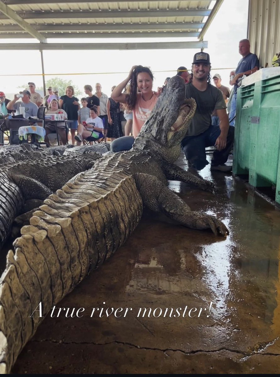 wheatpickle435's tweet photo. My buddy Hawk eye caught this giant this past season. I couldn't imagine the fight🐊💚
#pickle #wheat #swamppeople #fresh #alligator https://t.co/UCXmkNWdi7