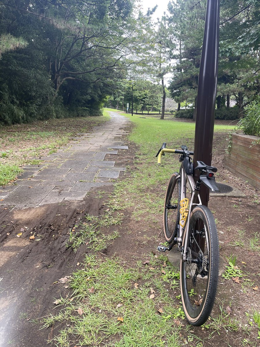 zenchi_allroad's tweet photo. 今日は大丈夫そうです https://t.co/WnpQlj4jKG