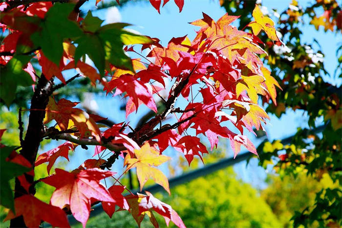 rlahyun's tweet photo. New to photography Start with one rule: Shoot what makes you stop and look. No fancy gear needed—just your curiosity. Every great photo starts with noticing the small, wonderful details around you. https://t.co/BfI5eDK0kM