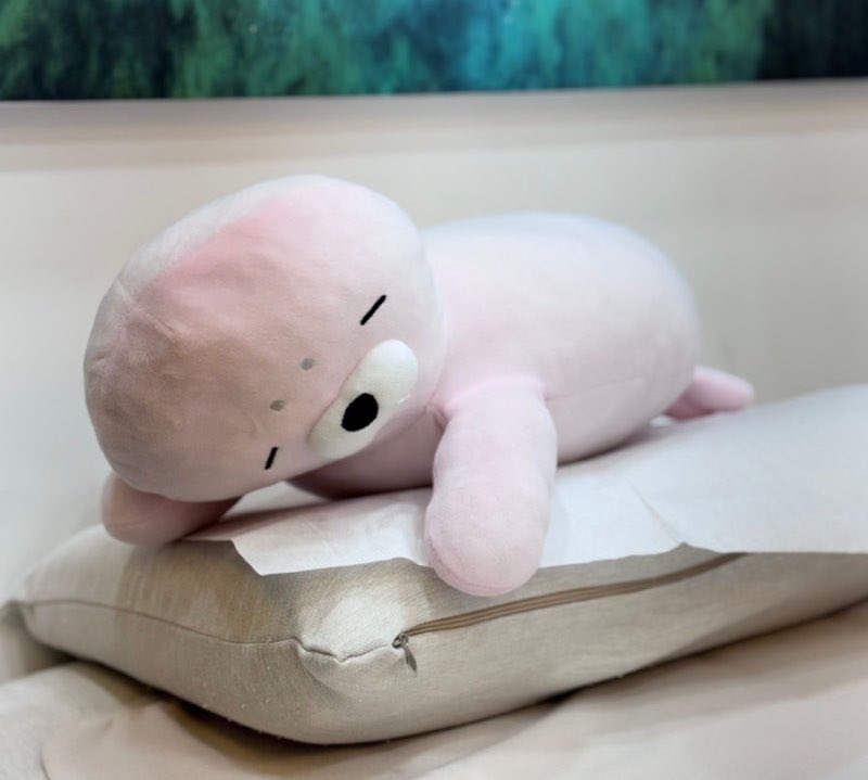 insect_incest's tweet photo. 이색히인데 (짤은 인터넷펌) 정말 귀여움..

인형 주제에 눈을 동그랗게 뜨고 있는걸 별로 안 좋아해서, 착하게 눈감은 놈이 좋다.

팔을 쫘아악 들면 겨드랑이 냄새도 맡을 수 있음 https://t.co/14lABjeO5K