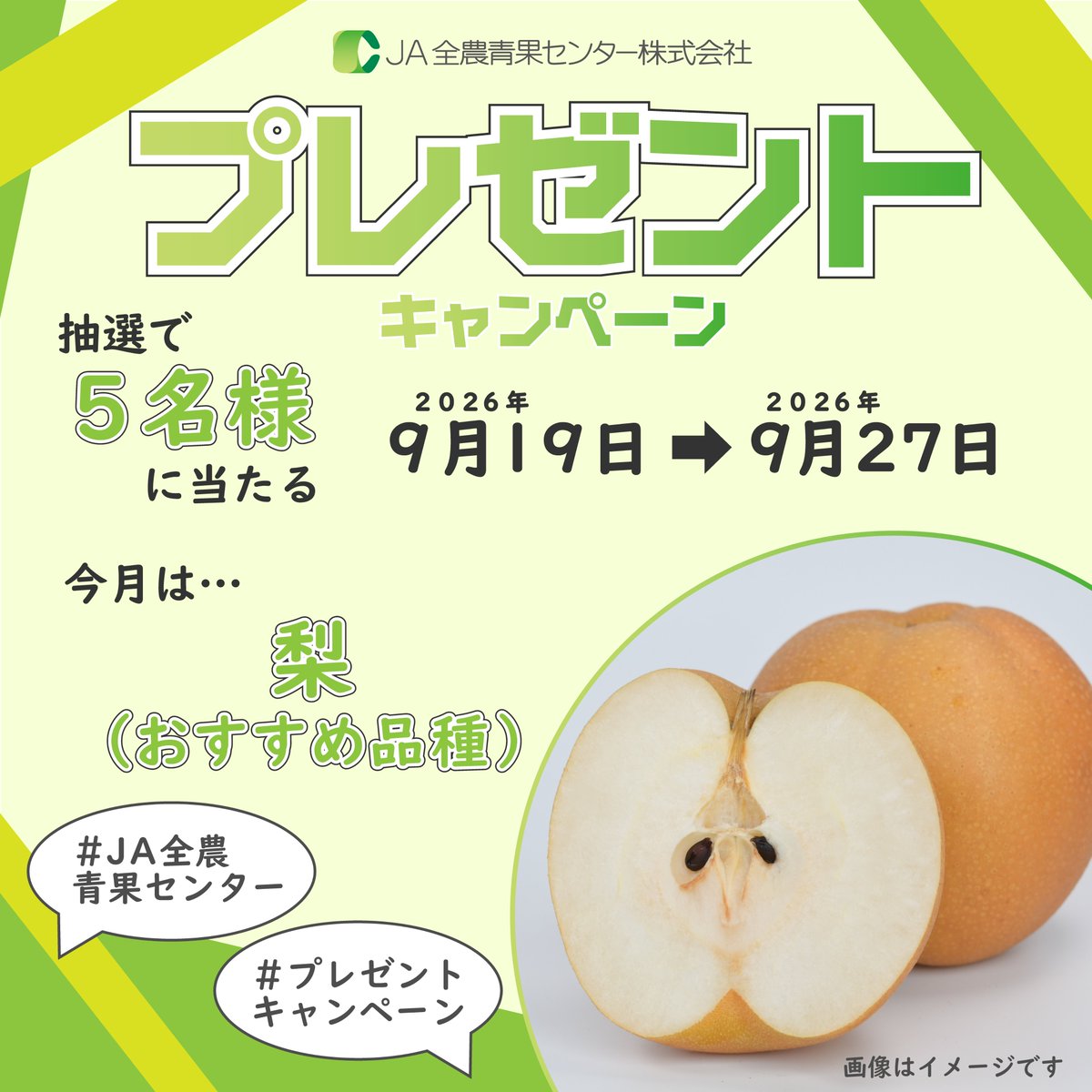 zennoh_seika's tweet photo. 今回のプレゼントキャンペーンは、秋の味覚として去年も大人気だった「梨」です🍐爽やかな甘さとシャリシャリ食感で、食べると思わず笑顔になっちゃいますね😊

🍅応募方法🥦
①@zennoh_seikaをフォロー
②こちらの投稿をリポスト

詳細は返信ポストをチェック☟ぜひ皆様ご応募ください✨
#プレゼントキャンペーン開催中 ＃JA全農青果センター