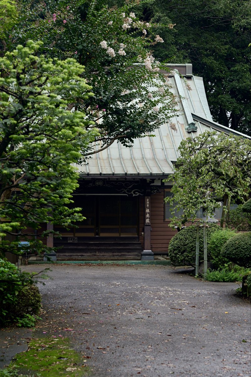 Himakoto2's tweet photo. 祖光院
江戸初期創建の曹洞宗寺院で、秋には境内に咲き誇る赤や白の彼岸花の名所として親しまれています
#常盤平　#松戸 https://t.co/FlTDO4XmSw