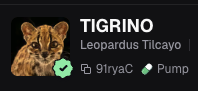 realdotk's tweet photo. Verified on Pump $TIGRINO https://t.co/dLUDCNyltY