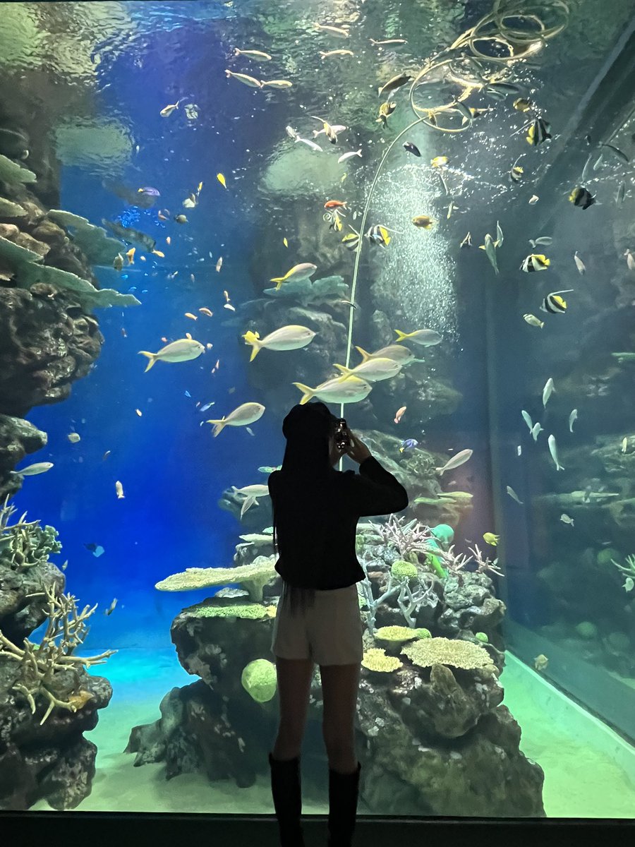 sayapp26's tweet photo. 久しぶりの水族館🪼♡ #ootd https://t.co/QVmJLCzDsR
