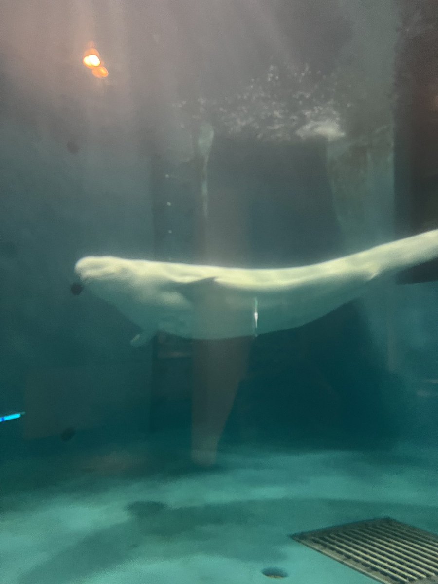 sayapp26's tweet photo. 久しぶりの水族館🪼♡ #ootd https://t.co/QVmJLCzDsR