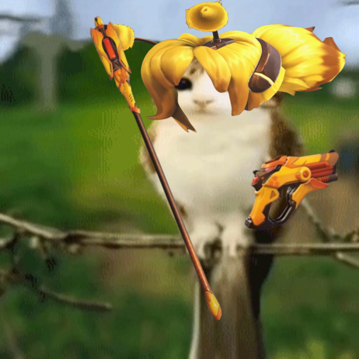 eurydibee's tweet photo. A new bee mercy meowl has hit owtwt https://t.co/8rsioMq0UU