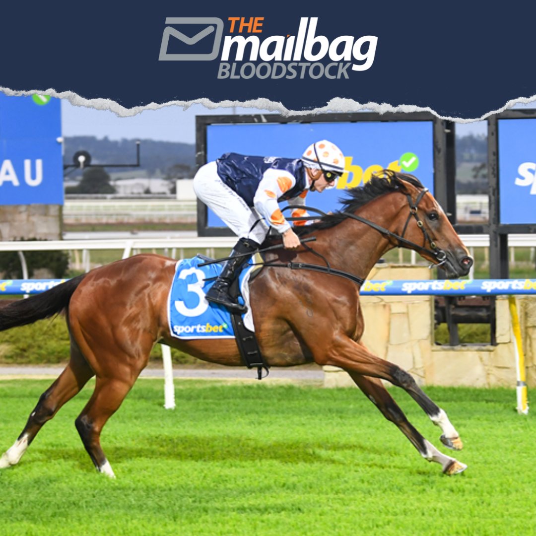 TMBBloodstock's tweet photo. #ShinyNewDeel heads to Caulfield (R1) looking to bounce back after a disappointing result in Sydney last start. He draws wide but has the services of Blake Shinn, who will no doubt give him every chance. His first two runs this campaign were very good, and we're expecting a good showing today.

Best of luck to the connections! 🤝