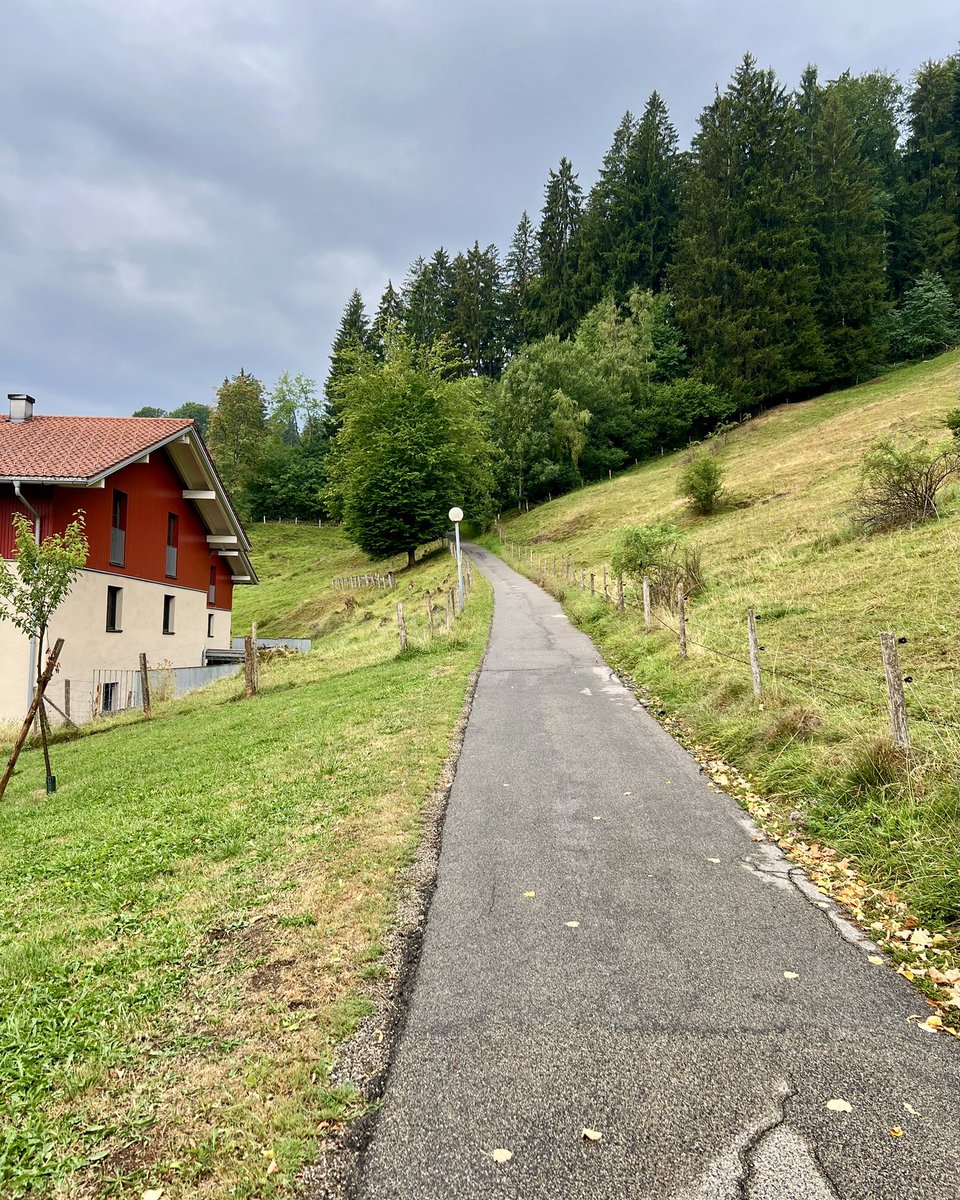 HrSchnyder's tweet photo. Höhenweg beim Staufenpark-Oberstaufen-Allgäu-Bayern
#wandern #hiking #oberstaufen #allgäu #bayern https://t.co/MAX3of1Rne