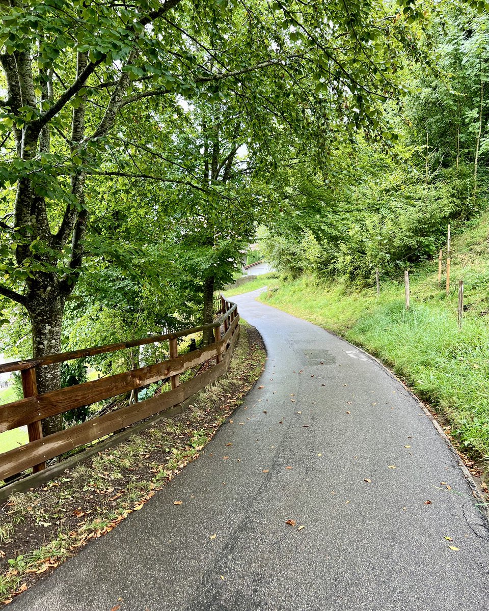 HrSchnyder's tweet photo. Höhenweg beim Staufenpark-Oberstaufen-Allgäu-Bayern
#wandern #hiking #oberstaufen #allgäu #bayern https://t.co/MAX3of1Rne