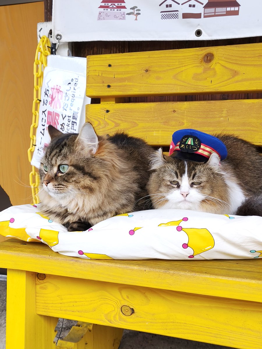ashinomakionsen's tweet photo. おはようございます♪
さくら駅長さんとりくくん、定時列車とお客様のお見送りを致しました♪ https://t.co/xGKREQd2jw