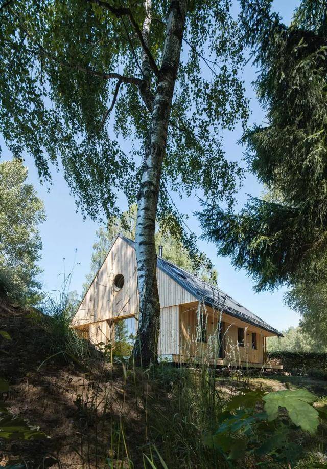 alkix214462's tweet photo. Woke up to golden sunlight through pine trees at a tiny alpine cottage—this quiet mountain escape is way better than the busy city. Nothing beats unhurried walks and hot cocoa after a crisp hike. https://t.co/sjW68WQk7P