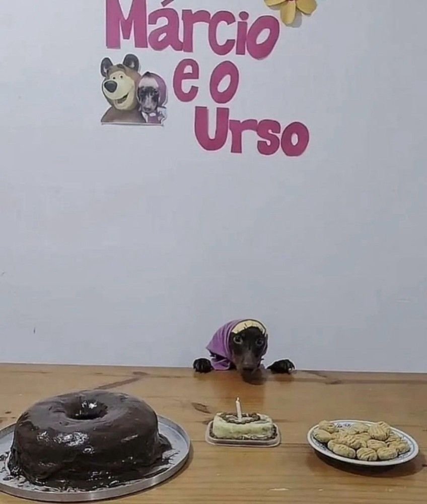 acervobichinho's tweet photo. https://t.co/ZnyZ15yykP