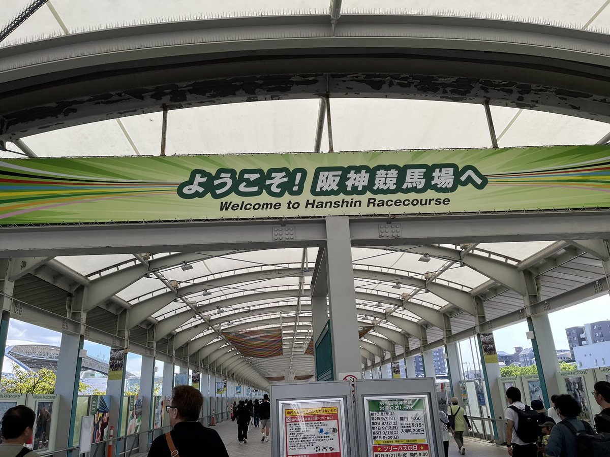 Max_KKGR's tweet photo. リス地 https://t.co/AUxMOl2Em7