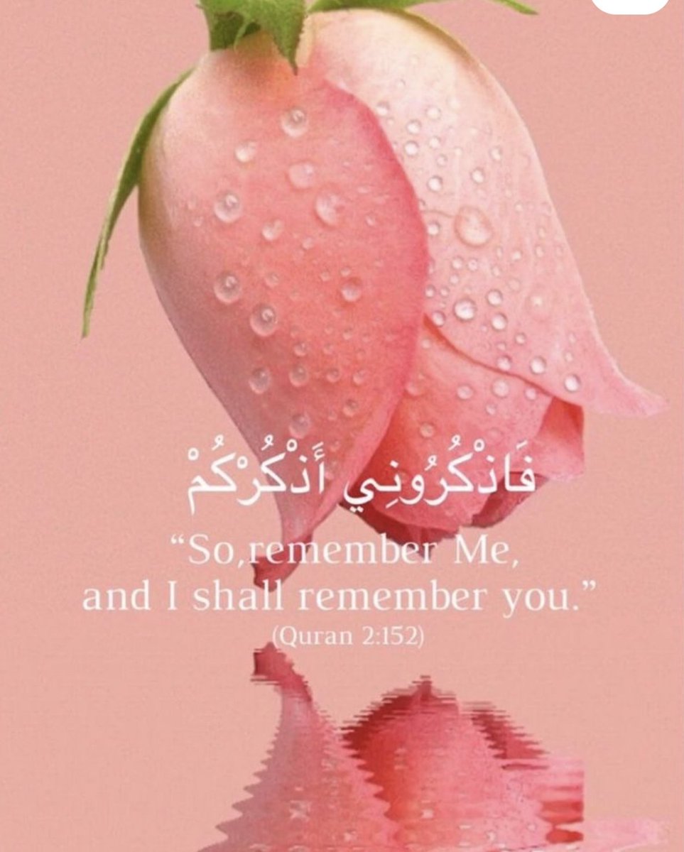 chugiadnancck's tweet photo. السلام علیکم دوستو✌️
 دن کا آغاز قرآن پاک کے ساتھ 🌺💐🌹 https://t.co/ojLM8c3TGN