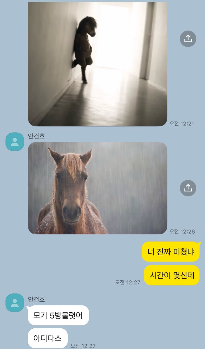 oqdotkr's tweet photo. 엄껀 https://t.co/1x804dqTAx