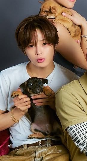 my1021log's tweet photo. え？！どっちが犬？！🐶 https://t.co/kCQSwEIUYH