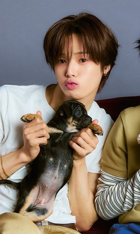 my1021log's tweet photo. え？！どっちが犬？！🐶 https://t.co/kCQSwEIUYH