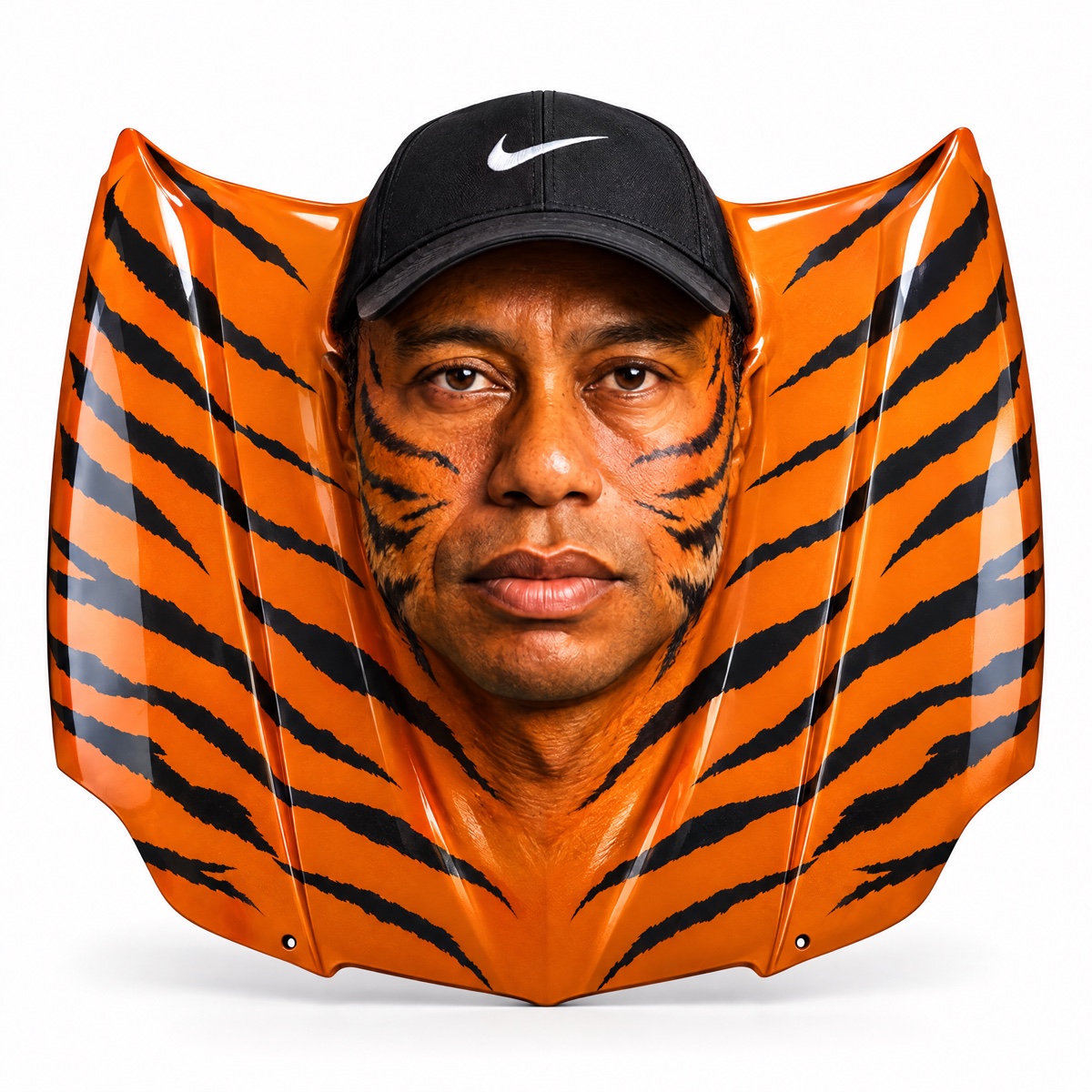 TigerHoodsRH's tweet photo. @JohannKerbrat our rwa is a car hood https://t.co/27ahZ9kMwY