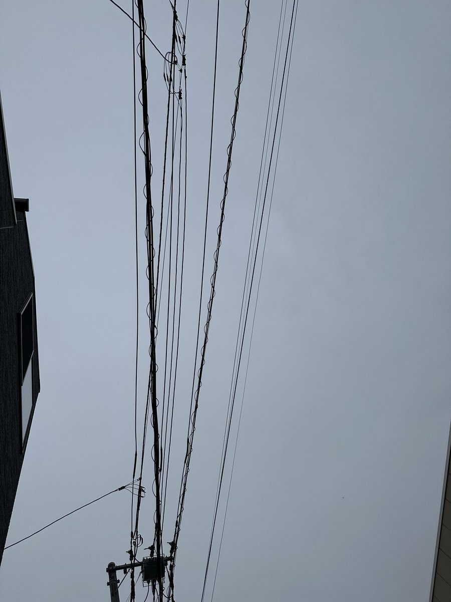 faruco_e's tweet photo. おはようございます。
今日は曇り。

午後から雨の予報です。明日、明後日は台風の影響がありそうです。大きな被害が出ないことを祈りましょう。

今日も良い一日を！ https://t.co/hQD5vhcNi1