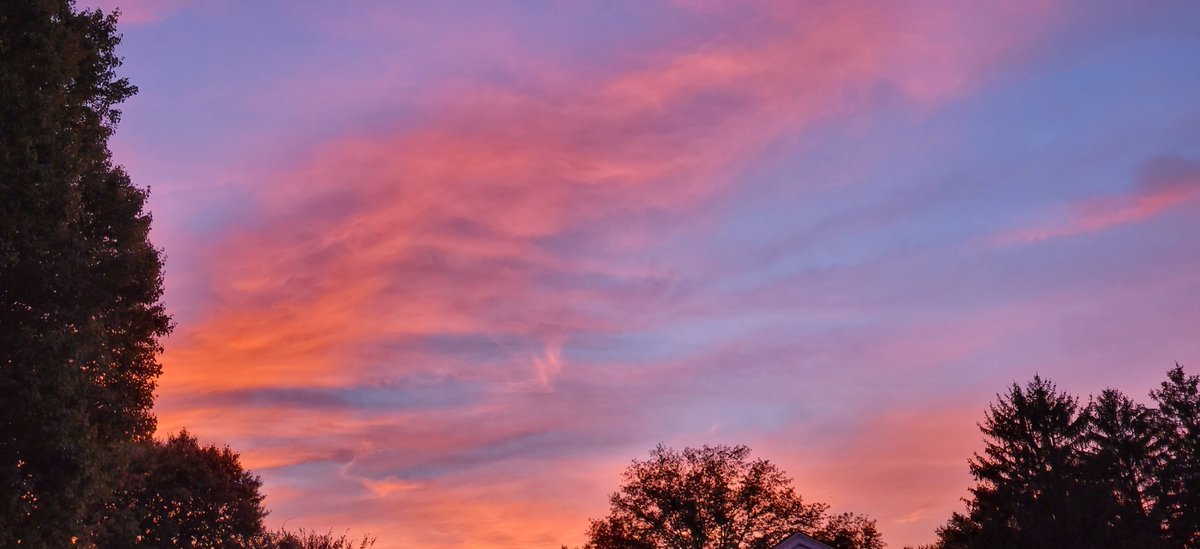 Anythingpork's tweet photo. #MyOasisWouldBe

Having this sunset every night https://t.co/QihEPM2fbZ