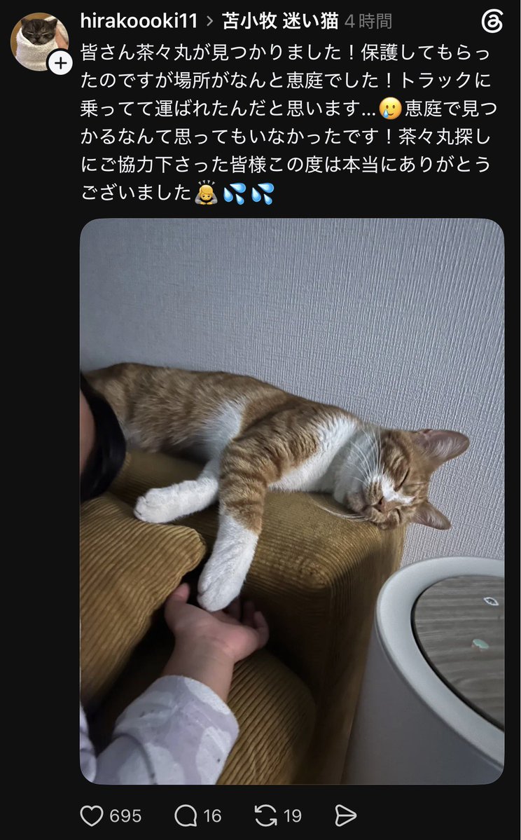 Apple20130506's tweet photo. 苫小牧で迷子になった猫ちゃん、恵庭市で見つかり帰還です！
https://t.co/8aUdwhAL2w https://t.co/HI0P6bBfB3